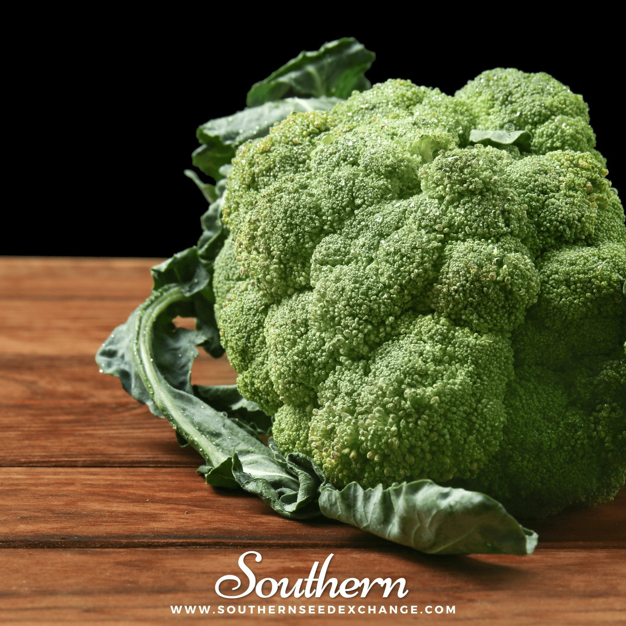 Calabrese Green Broccoli – 100 Seeds | Seeds | Wiccan Center