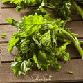 Rapini Raab Broccoli – 100 Seeds | Seeds | Wiccan Center