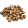 Brown Rhyolite Tumbled Small | Tumbled Gemstone | Wiccan Center