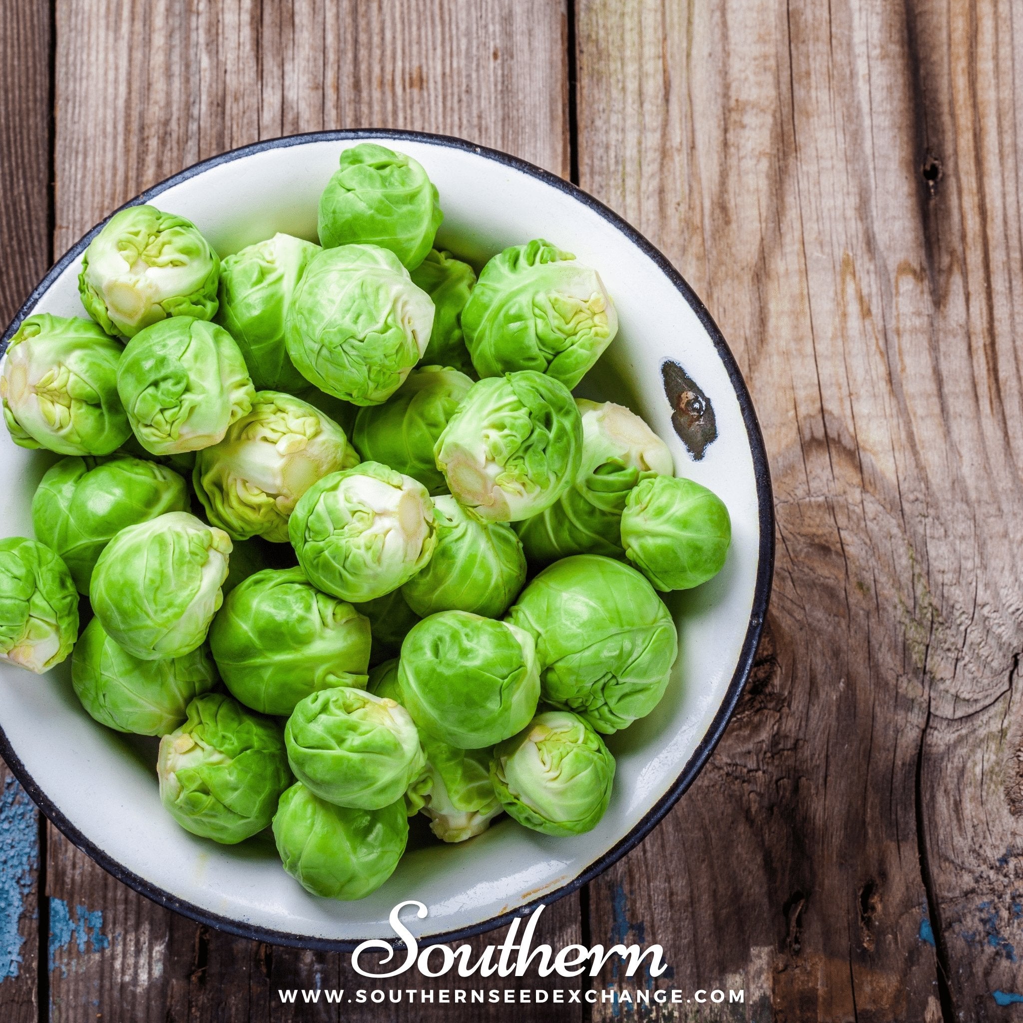 Long Island Improved Brussels Sprouts – 250 Seeds | | Wiccan Center