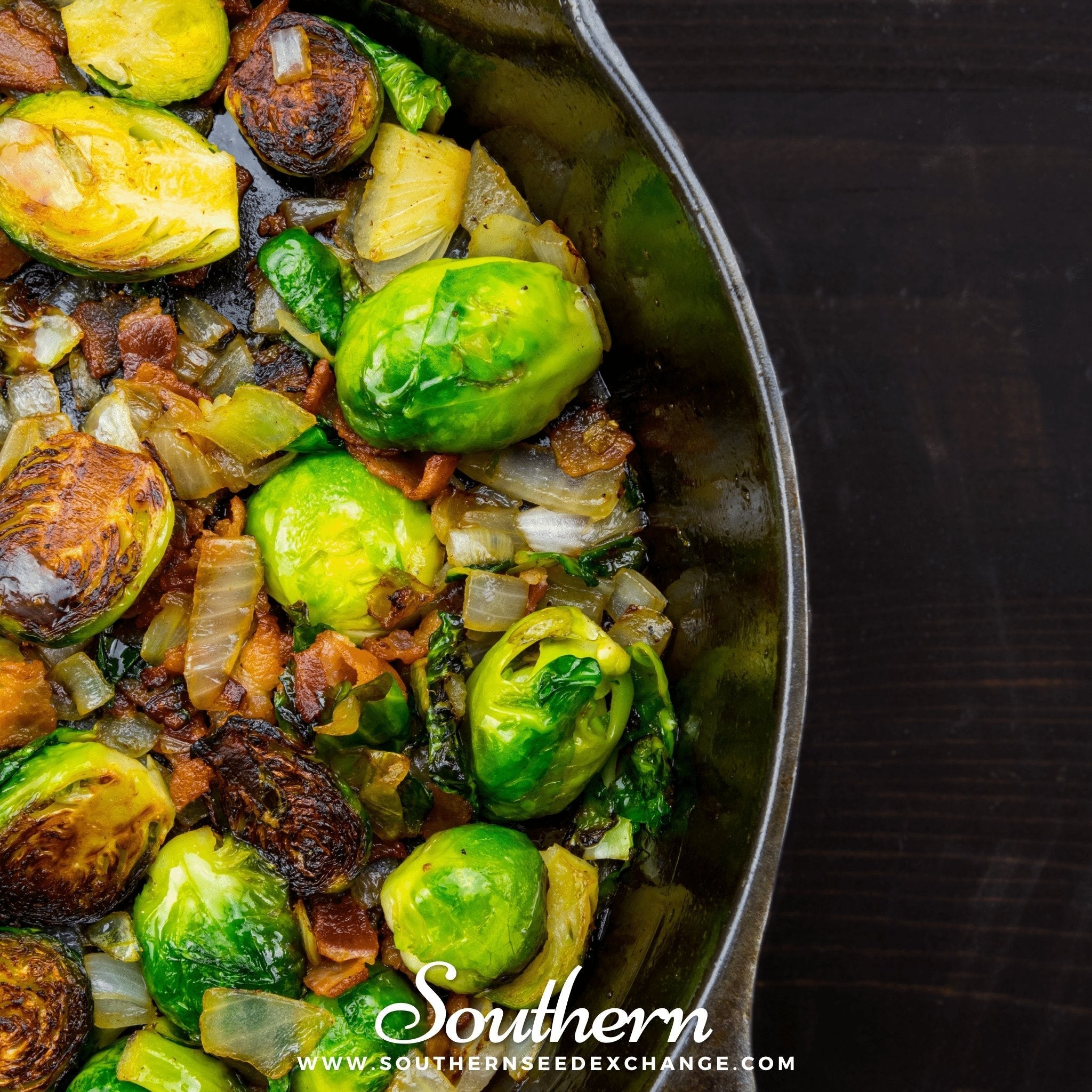 Long Island Improved Brussels Sprouts – 250 Seeds | | Wiccan Center