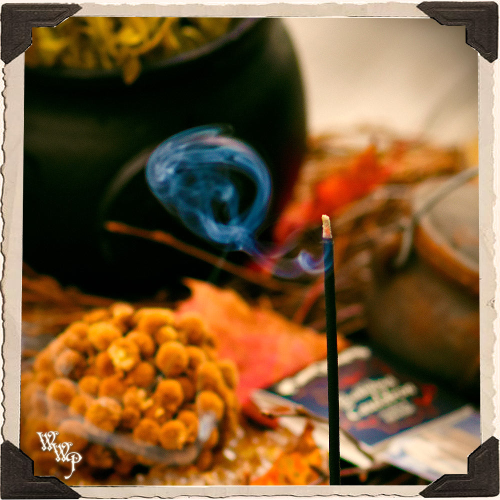 BUBBLING CAULDRON INCENSE . 20 Stick Pack. For Manifestation, Divination & Samhain Protection. | INCENSE | Wiccan Center
