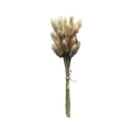 Dried Bunny Tails Natural
