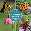 Butterfly Garden Seed Collection – 10 Varieties | Seeds | Wiccan Center