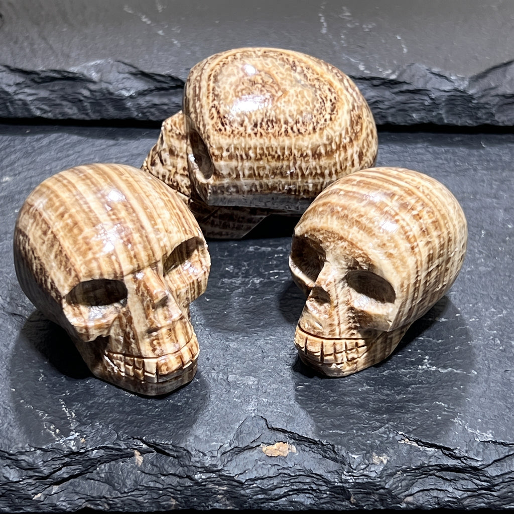 Peruvian Brown Banded Aragonite Skull Carving | Home & Living > Home Decor > Home Accents > Rocks & Geodes | Wiccan Center