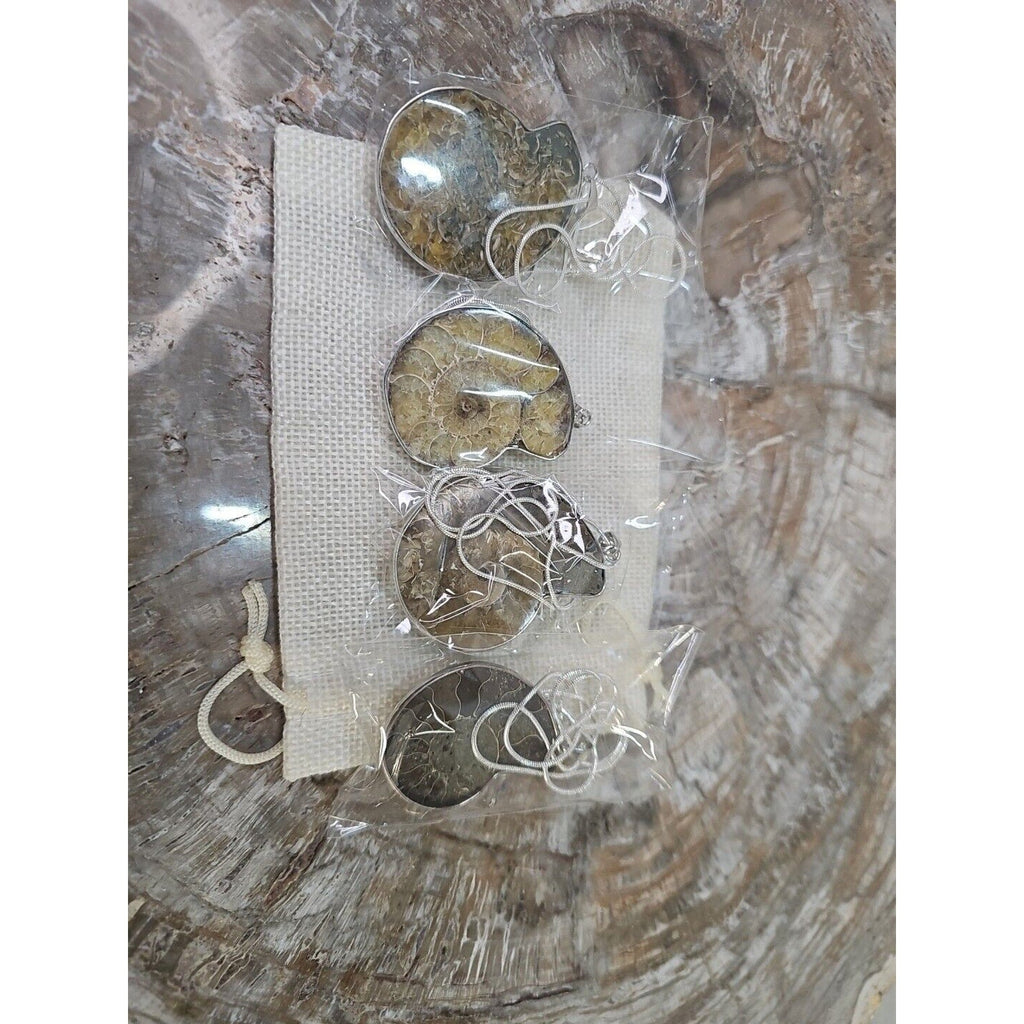 Ammonite Fossil Pendant Necklace — Handmade with 18-inch Silver Chain | CrystalCloud Company