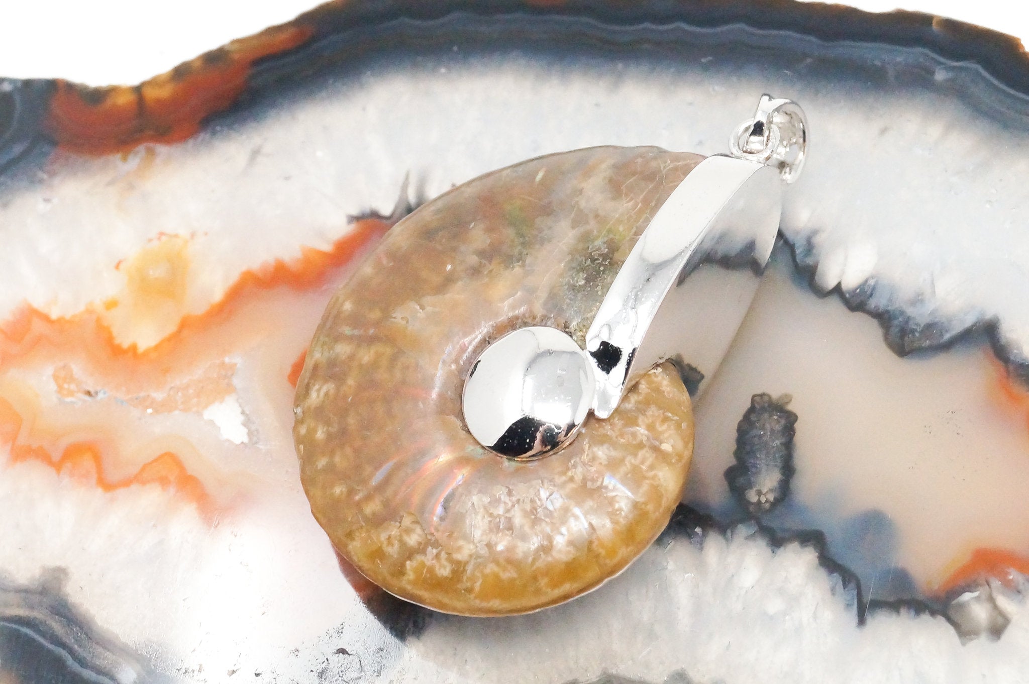 Vintage Nautilus Fossil Shell Sterling Silver Chunky Necklace Pendant | Jewelry > Necklaces > Pendants | Wiccan Center