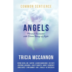 Angels: Personal Encounters with Divine Beings of Light - Hardcover | Books | Wiccan Center
