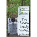 The Seven Deadly Whites: Evolution to Devolution - The Rise of the Diseases of Civilization - Paperback
