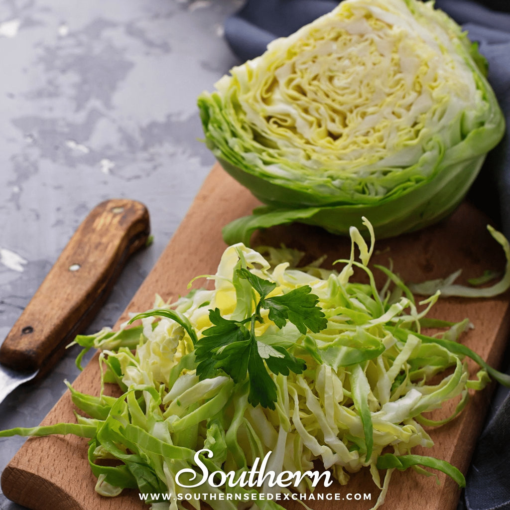 Brunswick Cabbage – 100 Seeds | | Wiccan Center