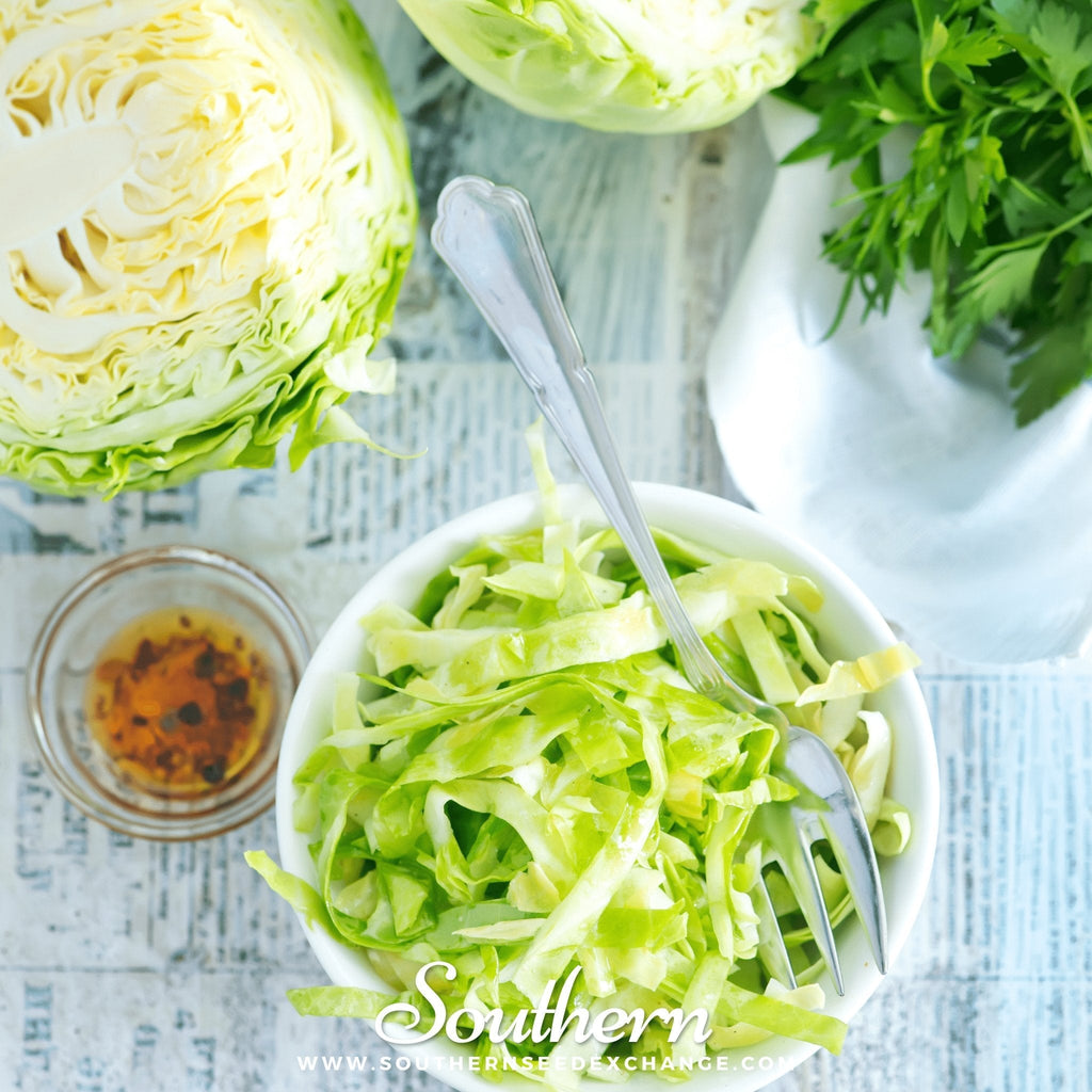 Copenhagen Market Cabbage – 100 Seeds | | Wiccan Center