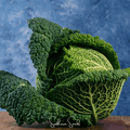 Savoy Cabbage – 100 Seeds | Seeds | Wiccan Center