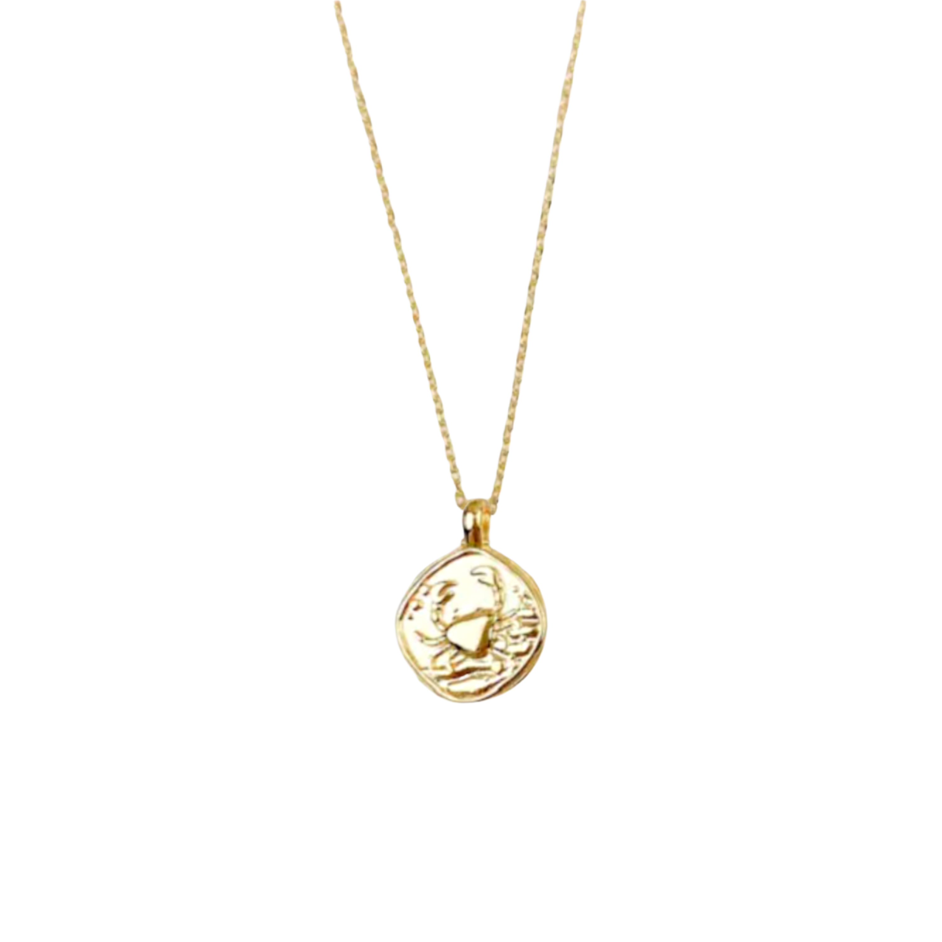 Zodiac Coin Necklace