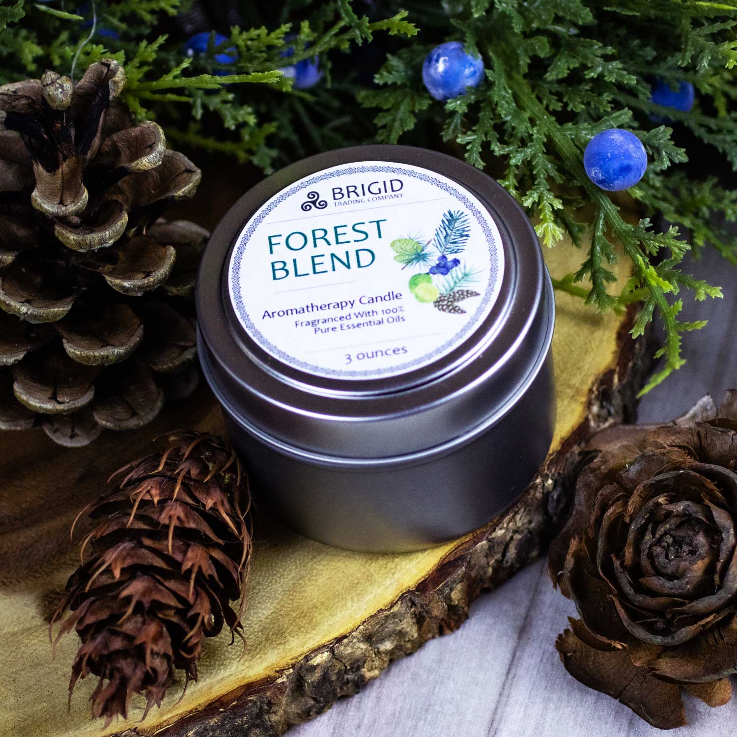 Forest Blend Soy Wax Candle - Juniper, Pine, Balsam, Cedar, and Lime | Aromatherapy Candle | Wiccan Center
