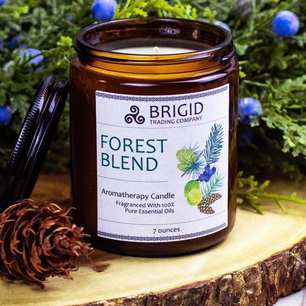 Forest Blend Soy Wax Candle - Juniper, Pine, Balsam, Cedar, and Lime | Aromatherapy Candle | Wiccan Center