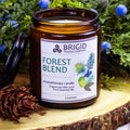 Forest Blend Soy Wax Candle - Juniper, Pine, Balsam, Cedar, and Lime | Aromatherapy Candle | Wiccan Center