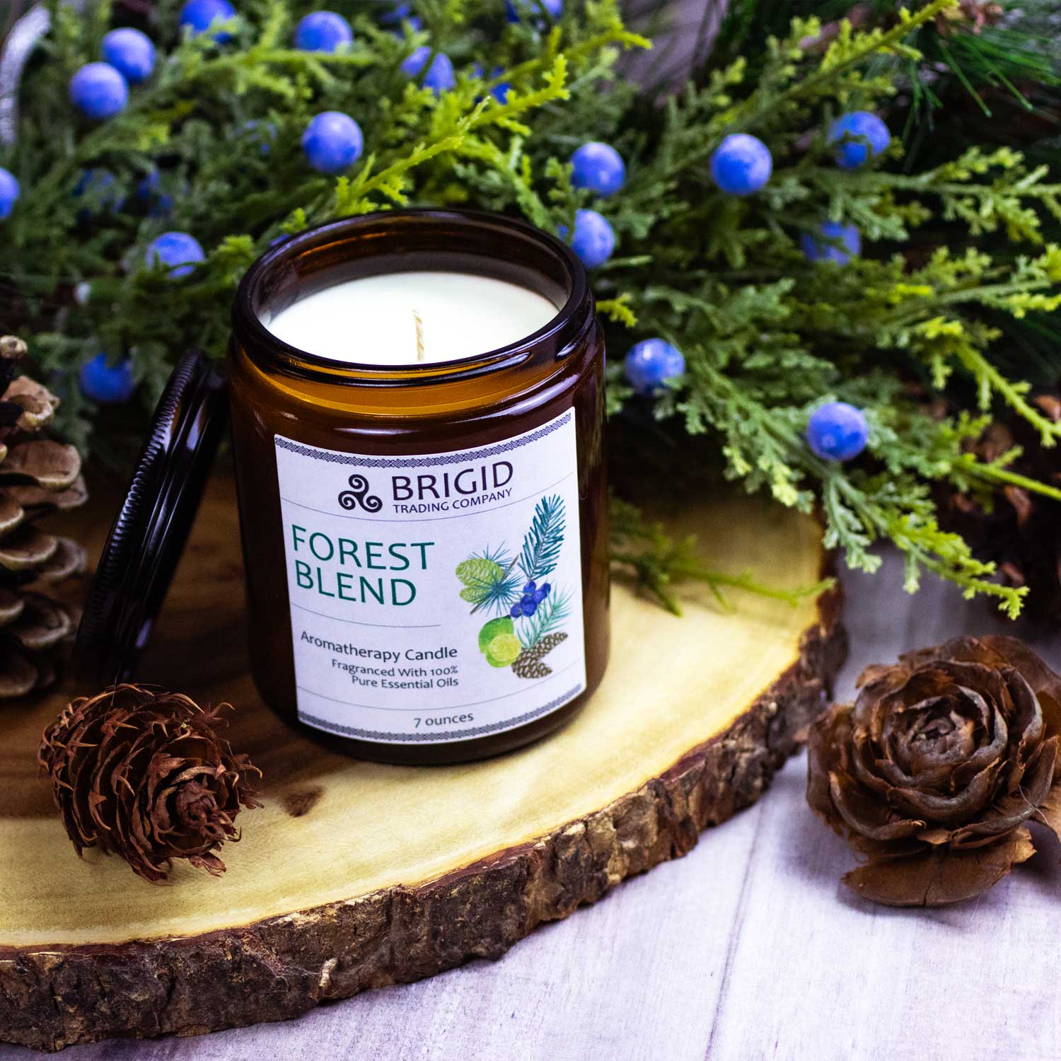 Forest Blend Soy Wax Candle - Juniper, Pine, Balsam, Cedar, and Lime | Aromatherapy Candle | Wiccan Center