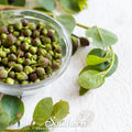 Caper Bush – 10 Seeds | | Wiccan Center