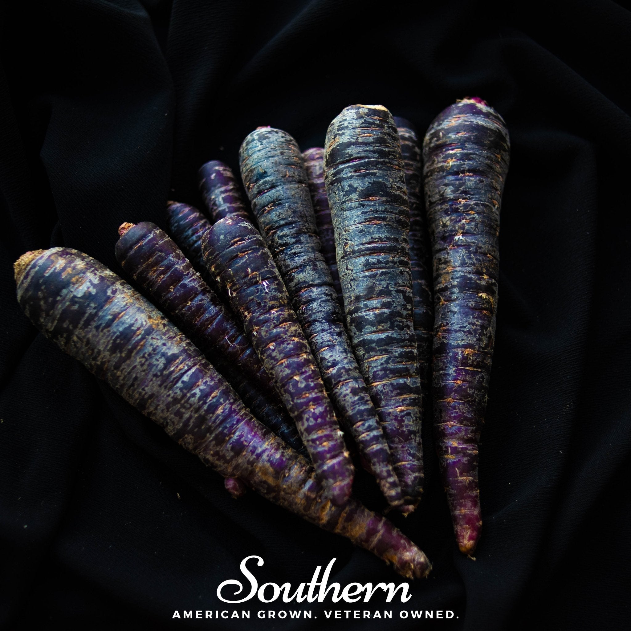 Cosmic Purple Carrot – 250 Seeds | Seeds | Wiccan Center