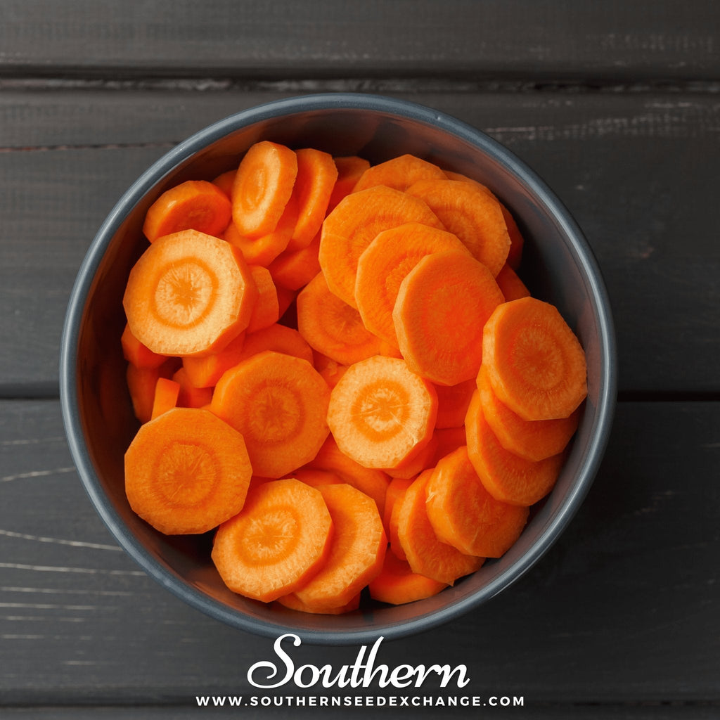 Imperator 58 Carrot – 250 Seeds | Seeds | Wiccan Center