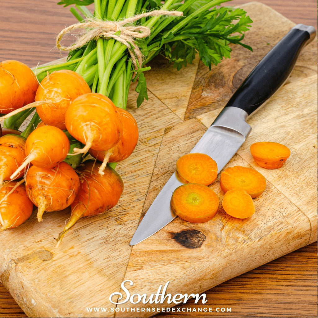 Parisian Carrot – 250 Seeds | Seeds | Wiccan Center