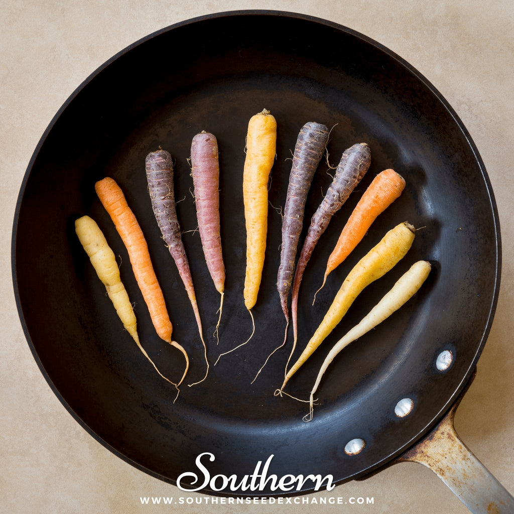 Rainbow Carrot – 100 Seeds | | Wiccan Center