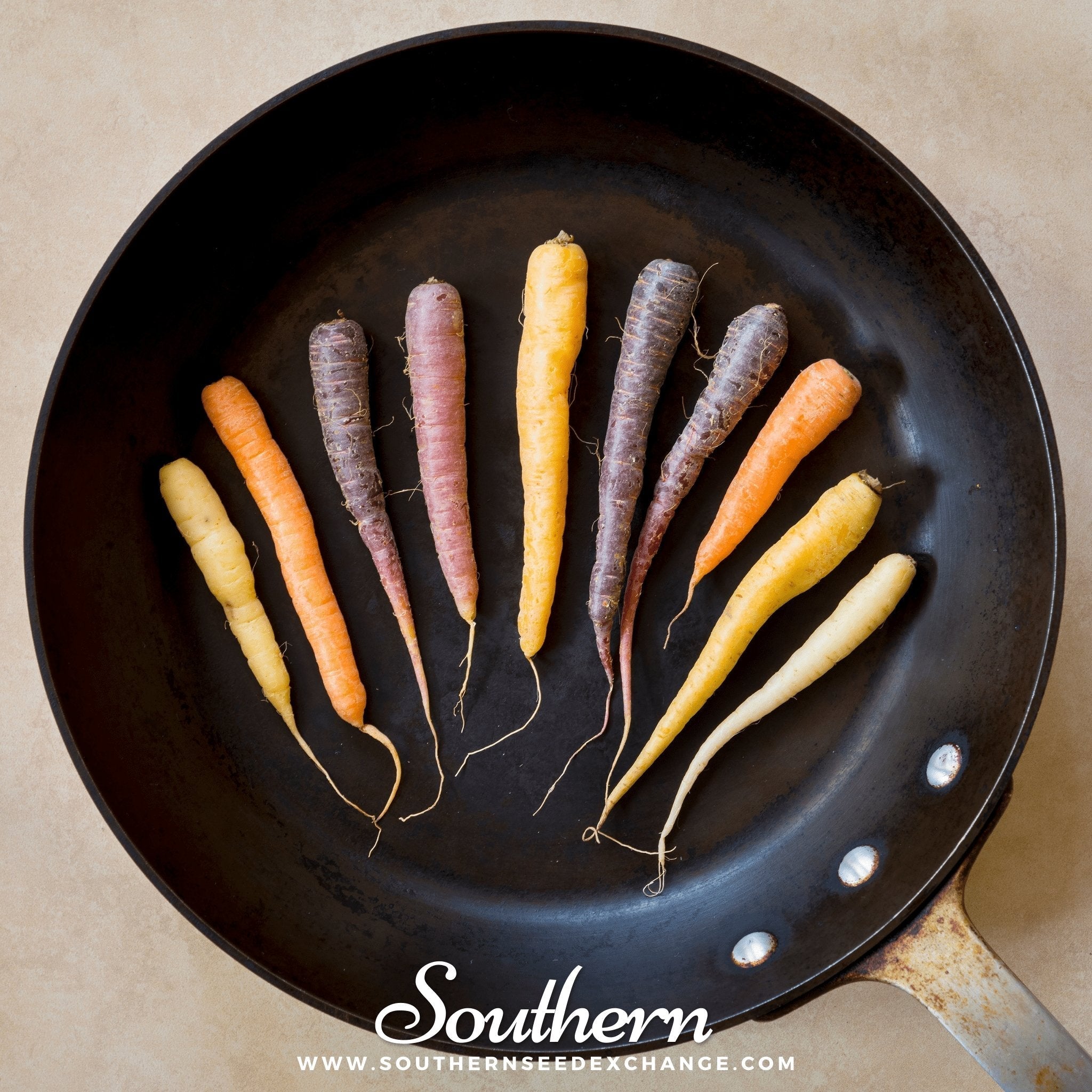 Rainbow Carrot – 100 Seeds | | Wiccan Center