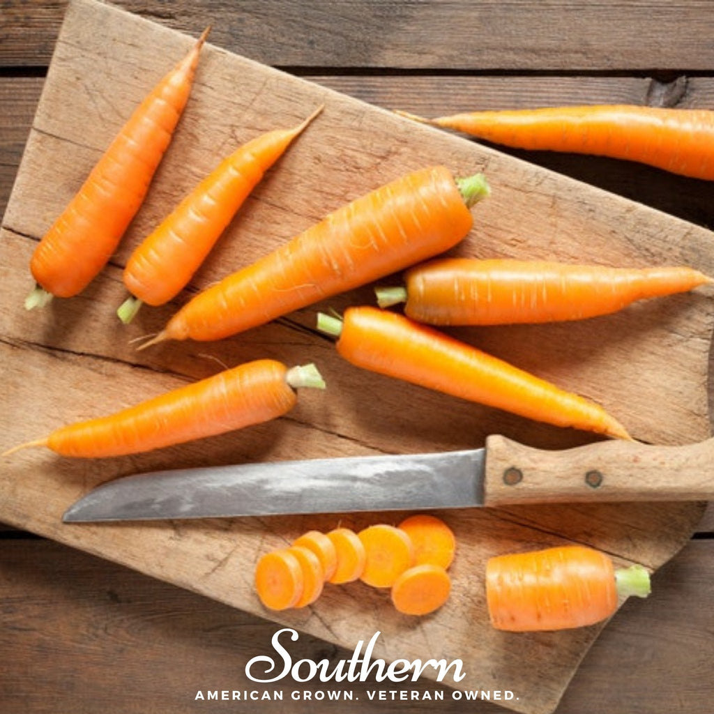 Scarlet Nantes Carrot – 250 Seeds | | Wiccan Center