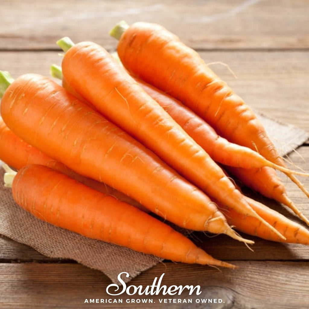 Scarlet Nantes Carrot – 250 Seeds | | Wiccan Center