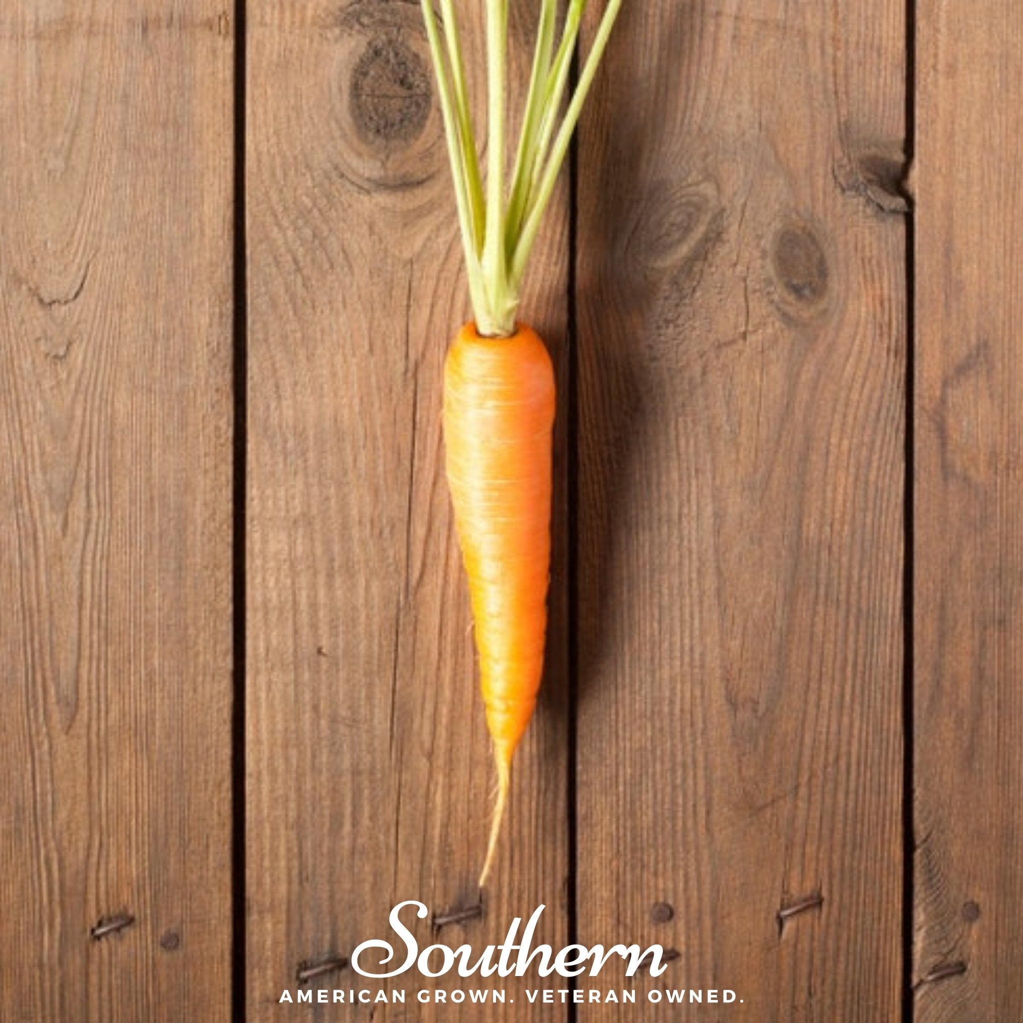 Scarlet Nantes Carrot – 250 Seeds | | Wiccan Center