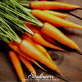 Scarlet Nantes Carrot – 250 Seeds | | Wiccan Center
