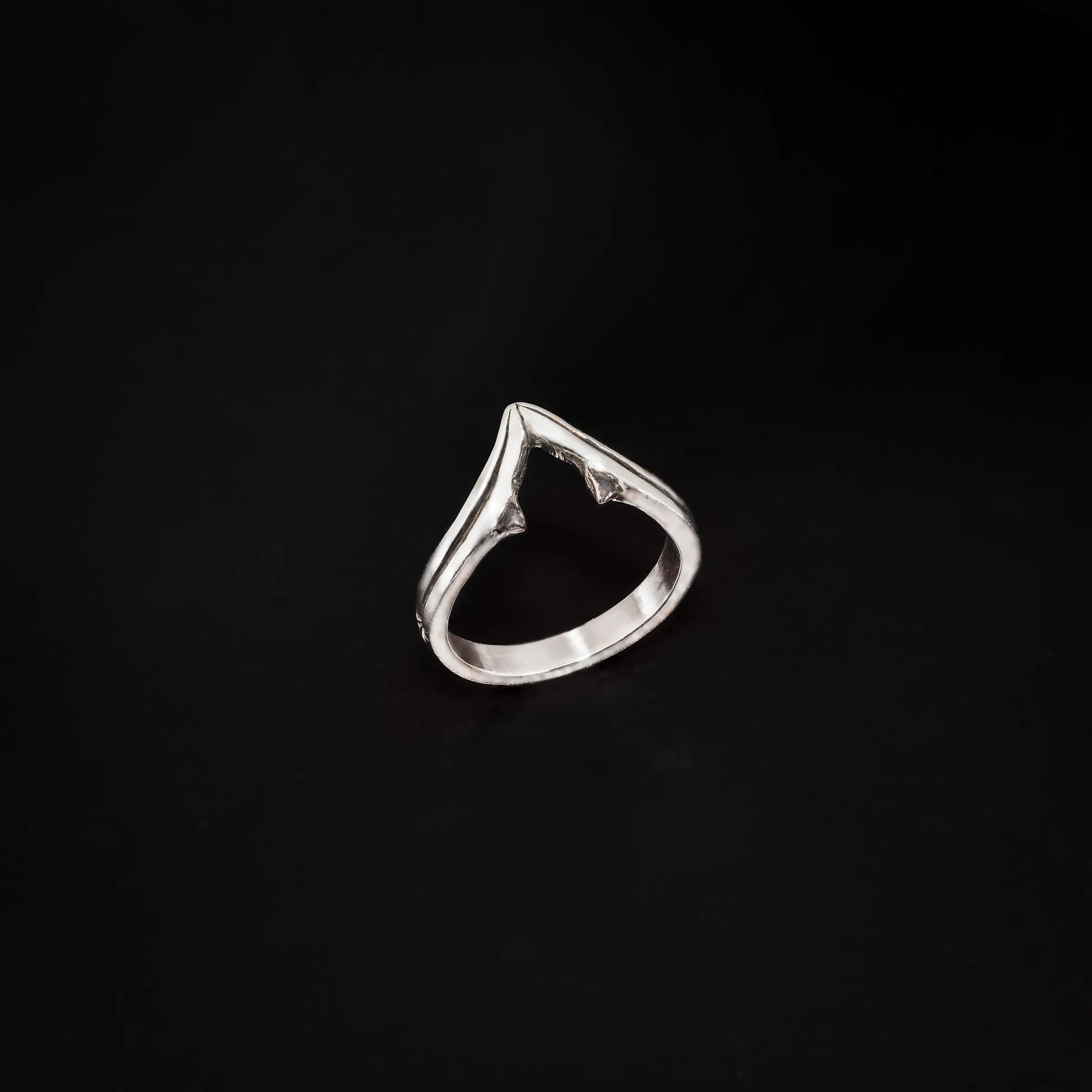 Celestial Arches Ring-Continuum Silver or Gold