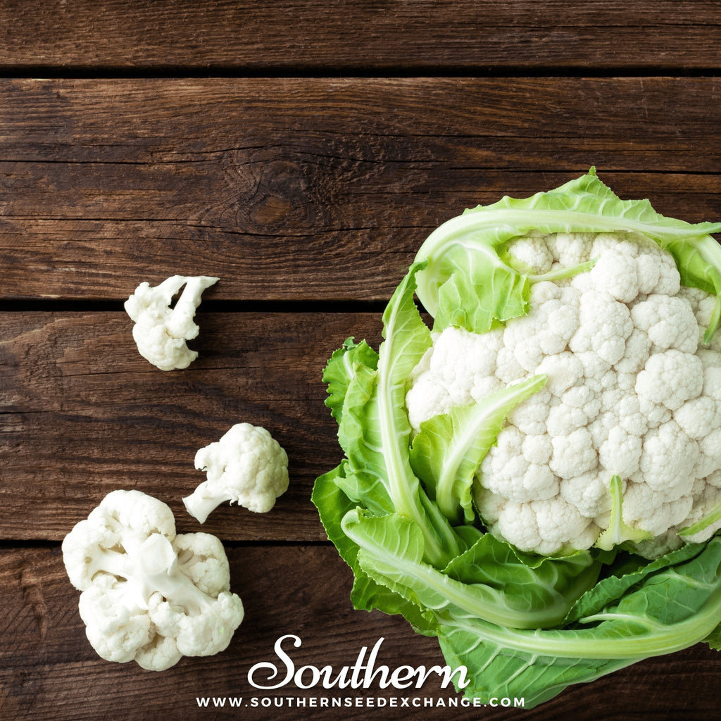Snowball Y Improved Cauliflower – 200 Seeds | | Wiccan Center