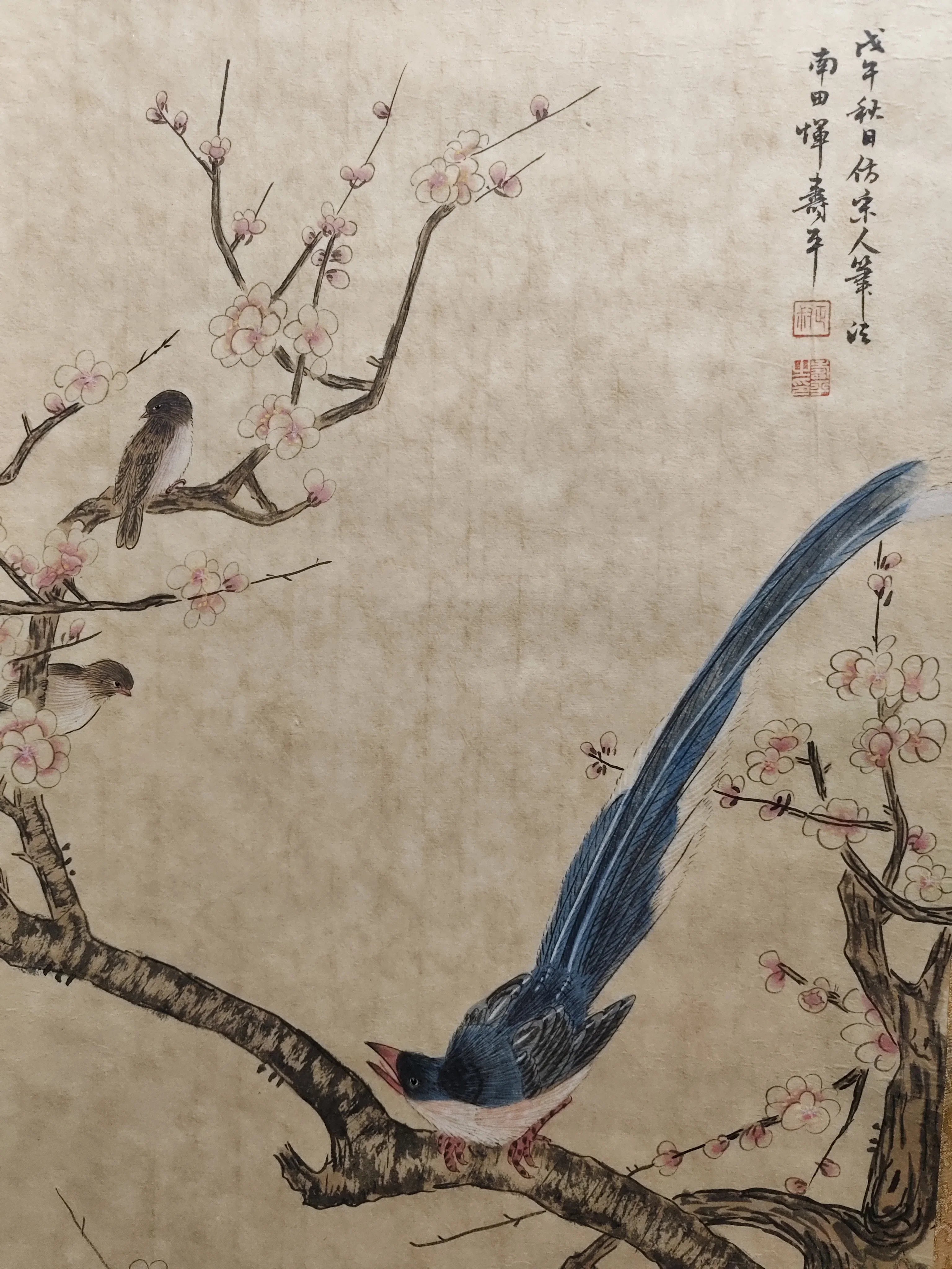 Antique Chinese Hand‑Painted Long Scroll – Bird & Flower Painting