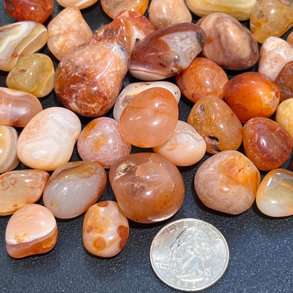 Red Carnelian Agate Tumbled Stones (By The Piece Or Pound) Bulk Wholesale Lot | Home & Living > Home Decor > Home Accents > Rocks & Geodes | Wiccan Center