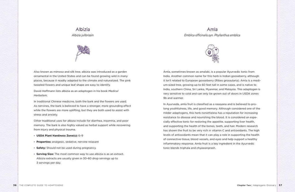 Complete Guide to Adaptogens