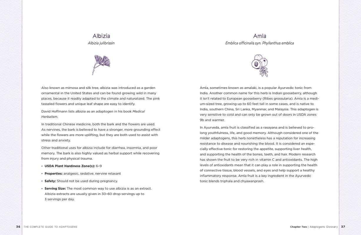 Complete Guide to Adaptogens