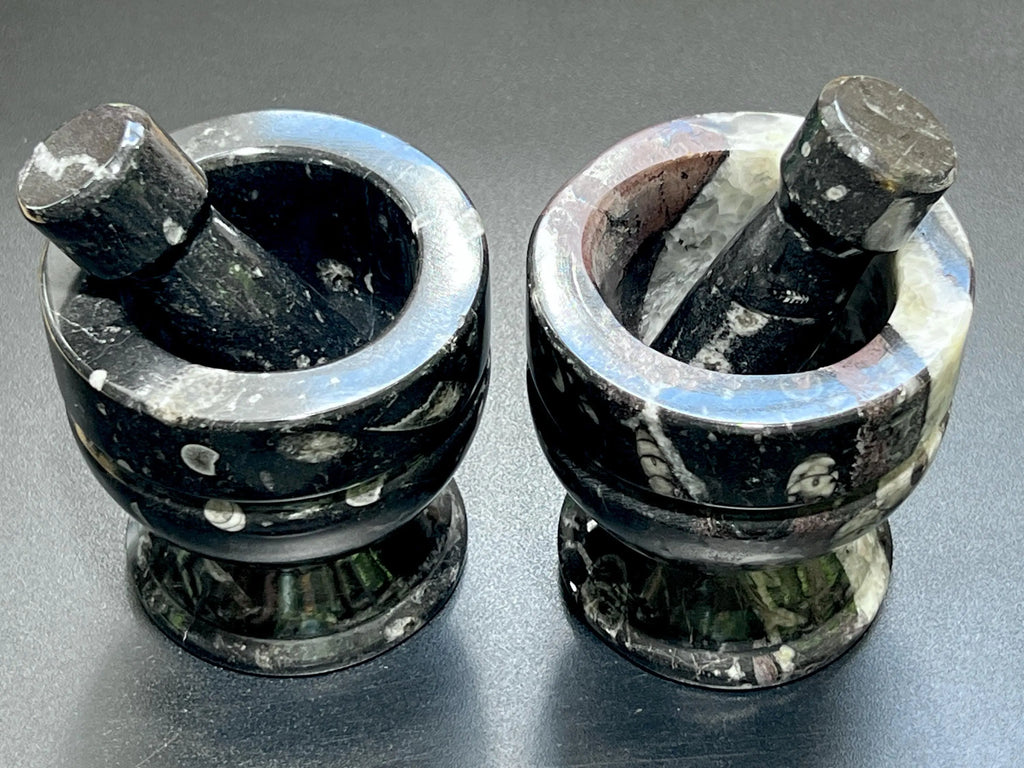 Orthoceras Mortar and Pestle Set (Mortar + Pestle) Polished Black Fossil Stone Carving Grinder Mixer | Home & Living > Kitchen & Dining > Cookware > Cooking Utensils & Gadgets | Wiccan Center