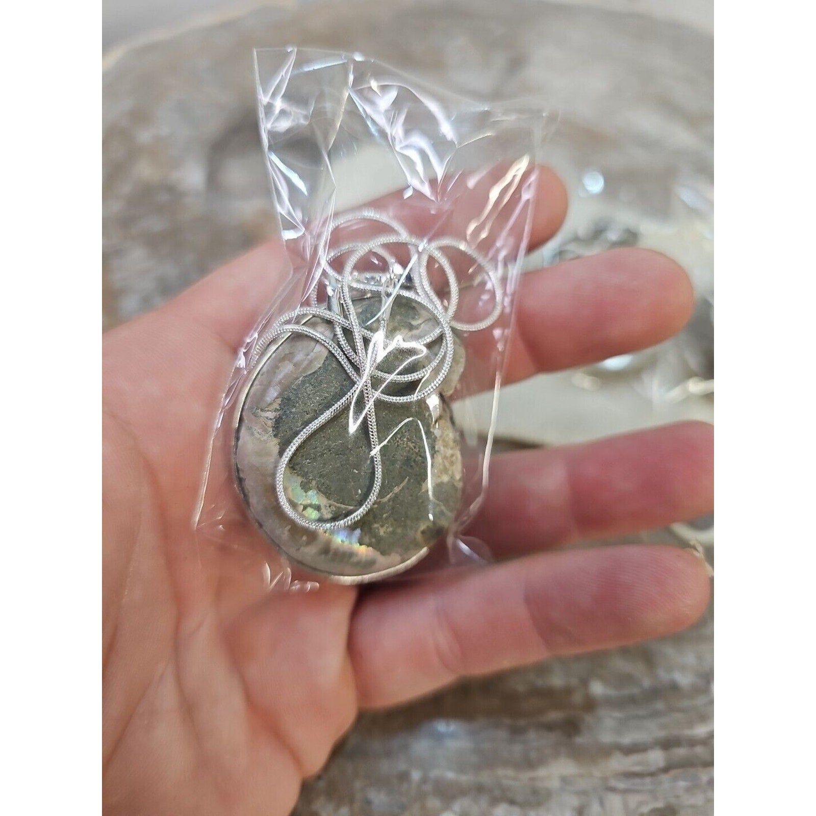 Ammonite Fossil Pendant Necklace — Handmade with 18-inch Silver Chain | CrystalCloud Company