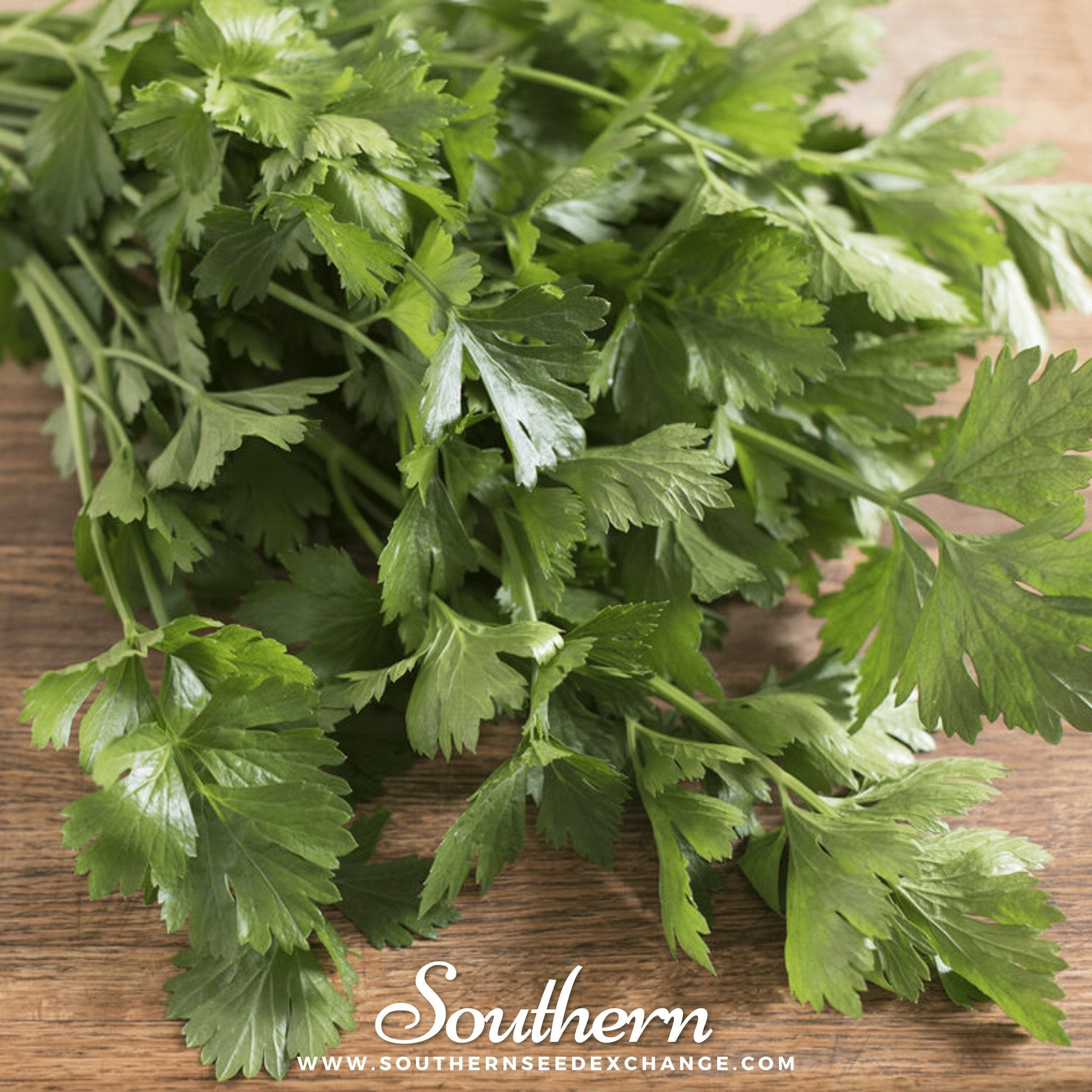 Cutting Celery – 200 Seeds | | Wiccan Center