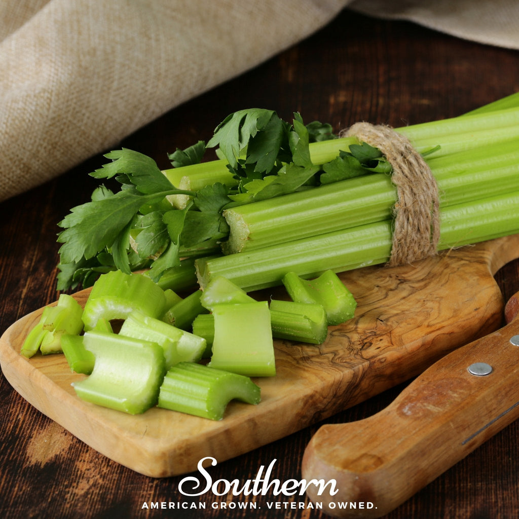 Tendercrisp Celery – 300 Seeds | | Wiccan Center