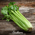 Utah 52-70 Celery – 300 Seeds | | Wiccan Center