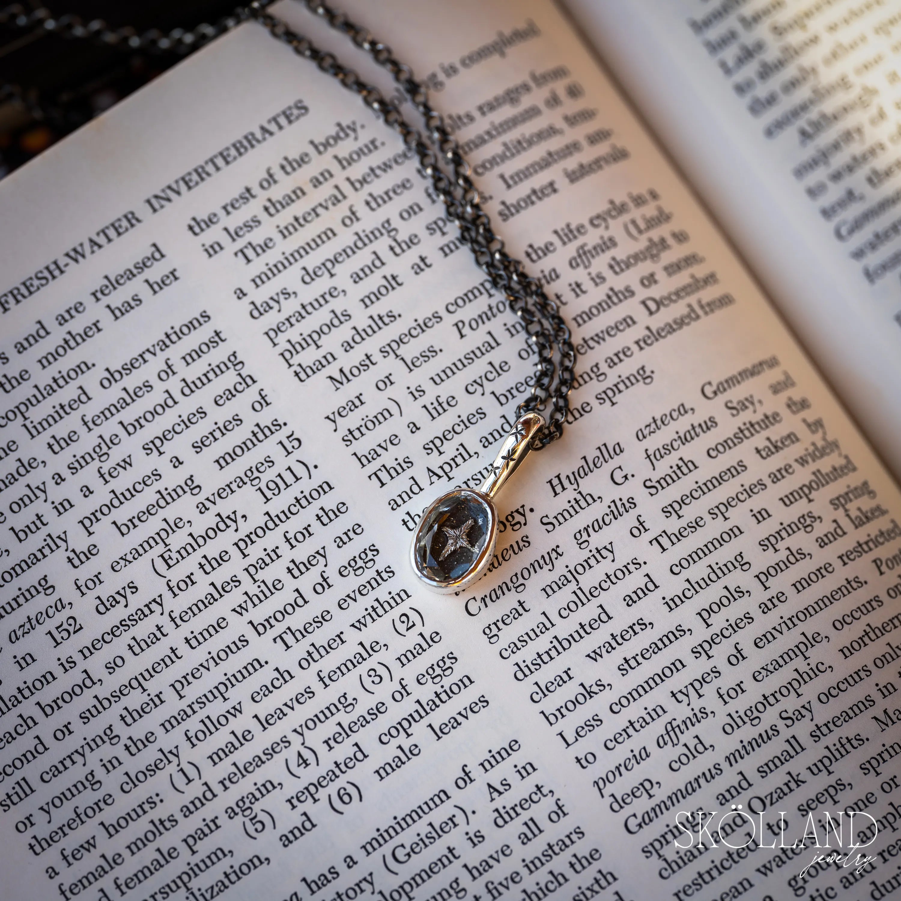 North Star Shadow Box Style Necklace-One of A Kind