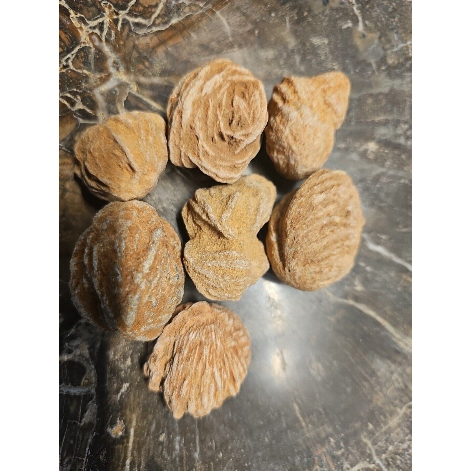 Desert Rose Selenite Mineral Specimen — Clarity & Stress Relief Crystal | CrystalCloud Company