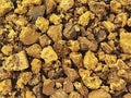 Chaga Mushroom - Granules (1 oz)