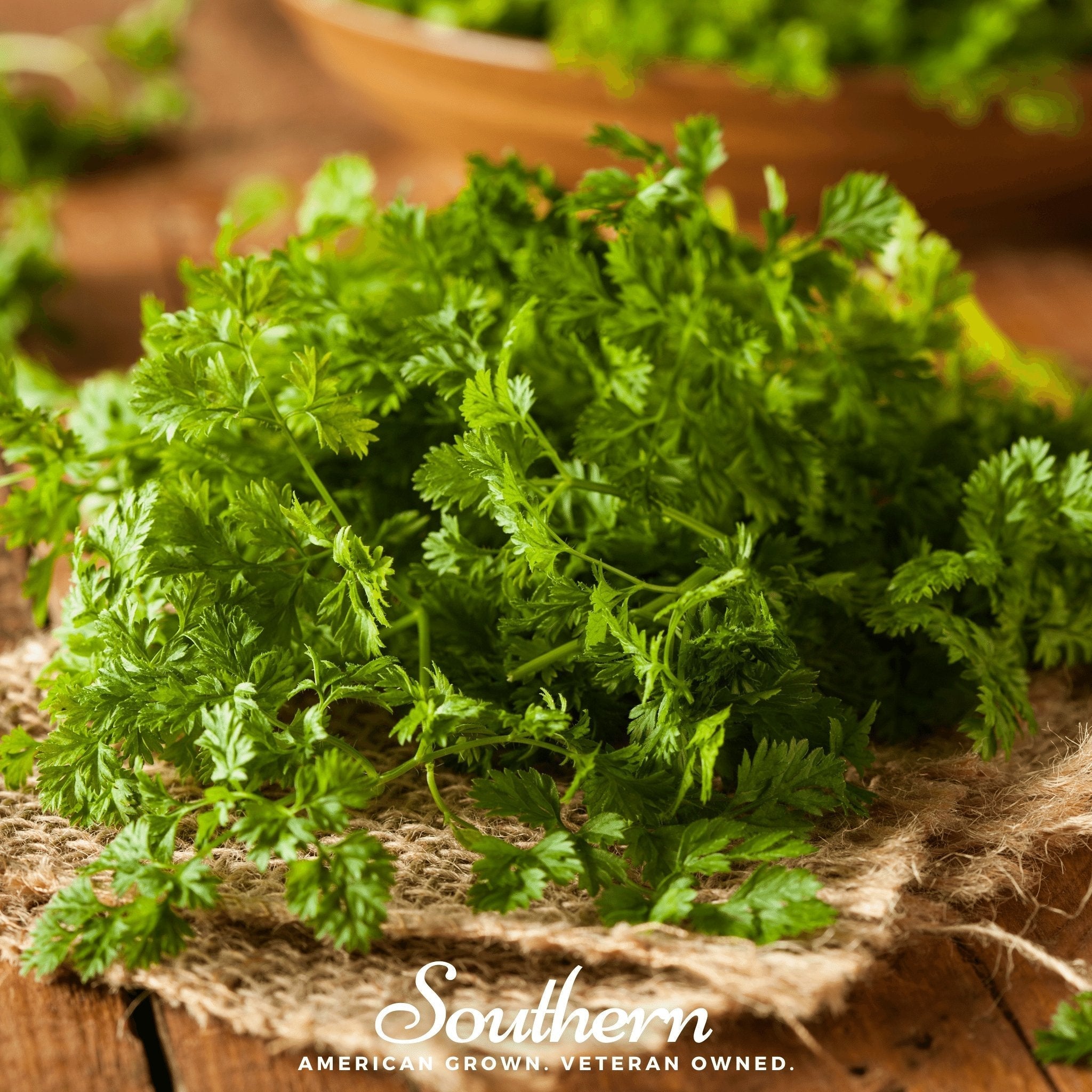 Curled Chervil – 200 Seeds | | Wiccan Center
