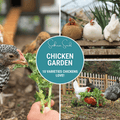 Chicken Treats Seed Collection – 10 Varieties | Seeds | Wiccan Center