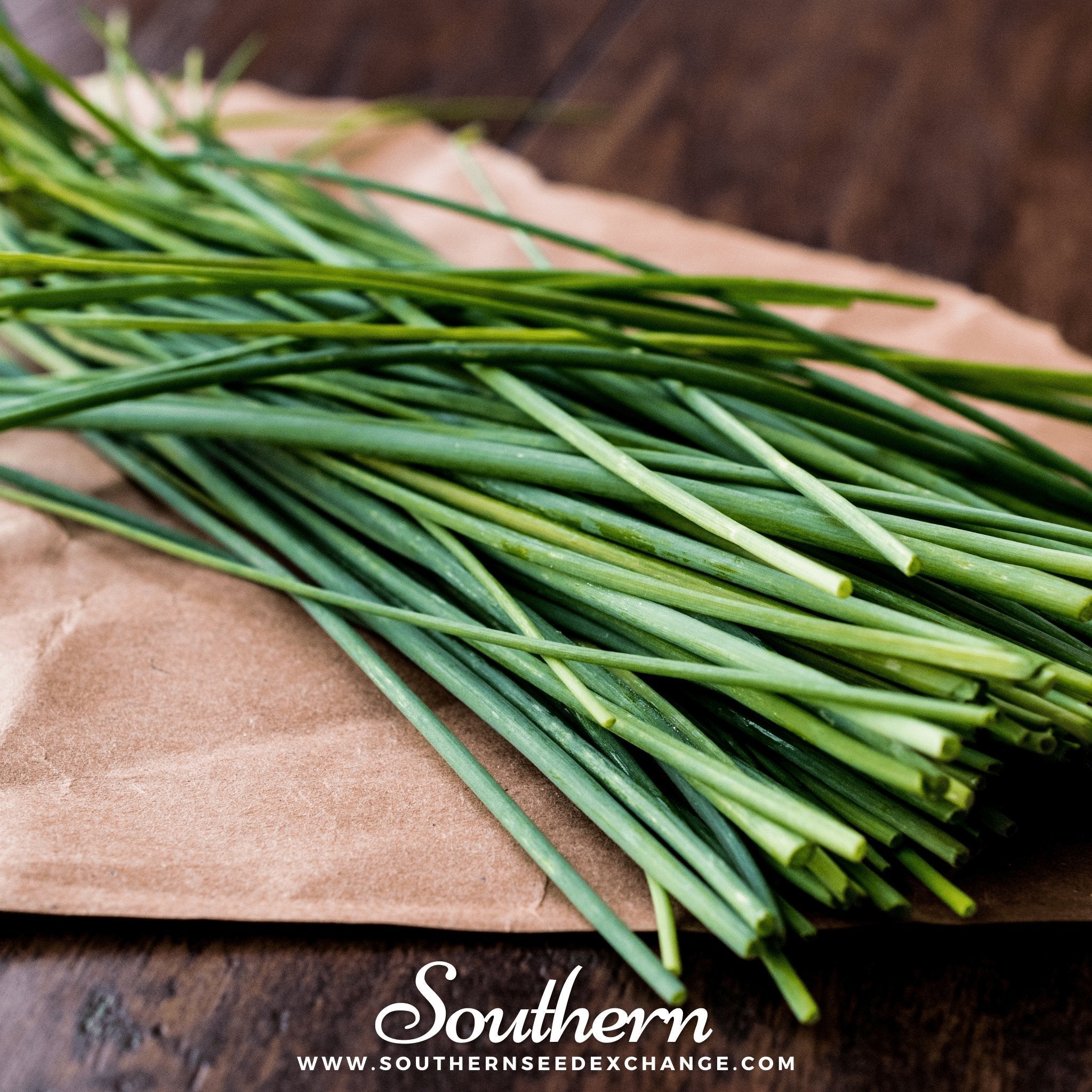 Chives – 100 Seeds | | Wiccan Center