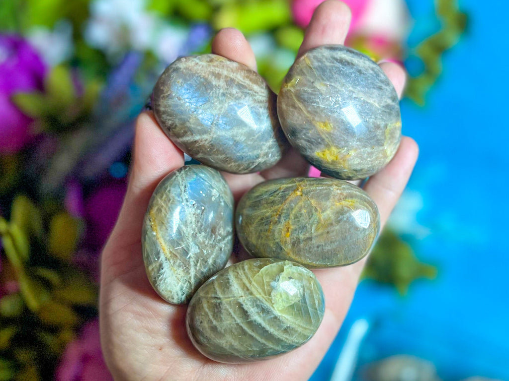 Chocolate Moonstone Crystal Palmstones | | Wiccan Center