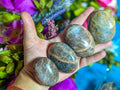 Chocolate Moonstone Crystal Palmstones | | Wiccan Center